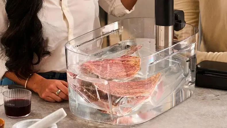 220V Creativechef Sous Vide Machines: Il Modo Migliore Per Ottenere Bistecche Perfettamente Cotte E Altro