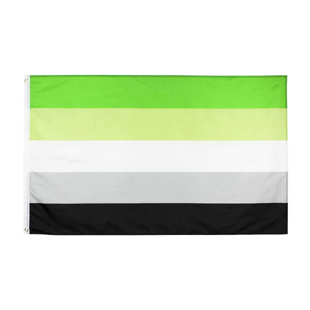 Johnin 90X150Cm Lgbtqia Romantico Orientamento Aromantic Pride Flag
