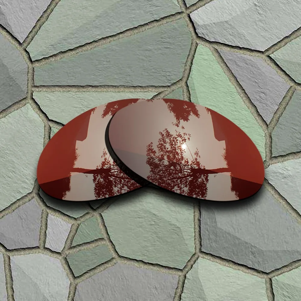 Bronzo Marrone Occhiali Da Sole Polarizzati Lenti Di Ricambio Per Oakley Romeo 1