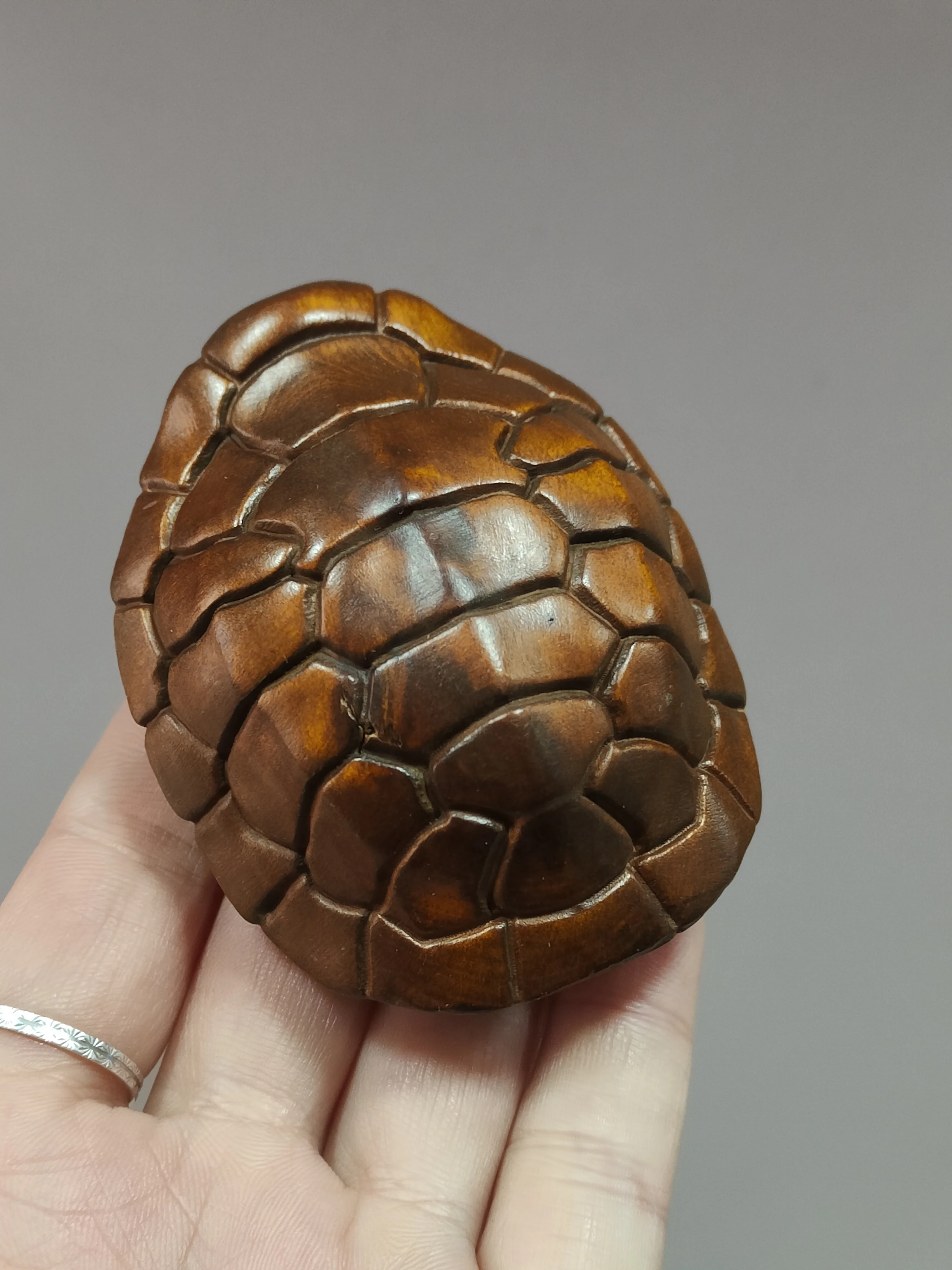 Scultura In Legno Di Bosso Seiko Carving Turtle Shell Decorazione Decorazione Della Casa