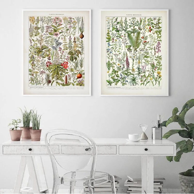 Piante Medicinali Botaniche Poster E Stampe Vintage Poppy Foxglove Hyssop Lavanda Fine 1800S Repro Canvas Painting Wall Decor