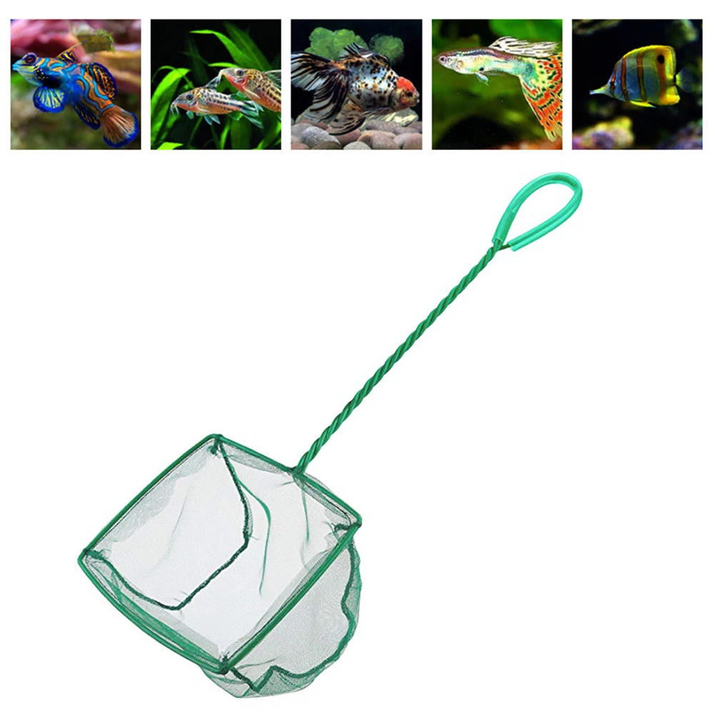 Acquario Pesce Gamberetti Quick Catch Net Mesh Fishnet Betta Tetra Fish Net Acquario Fish Tank Rete Da Pesca Guading Fish Tank Net
