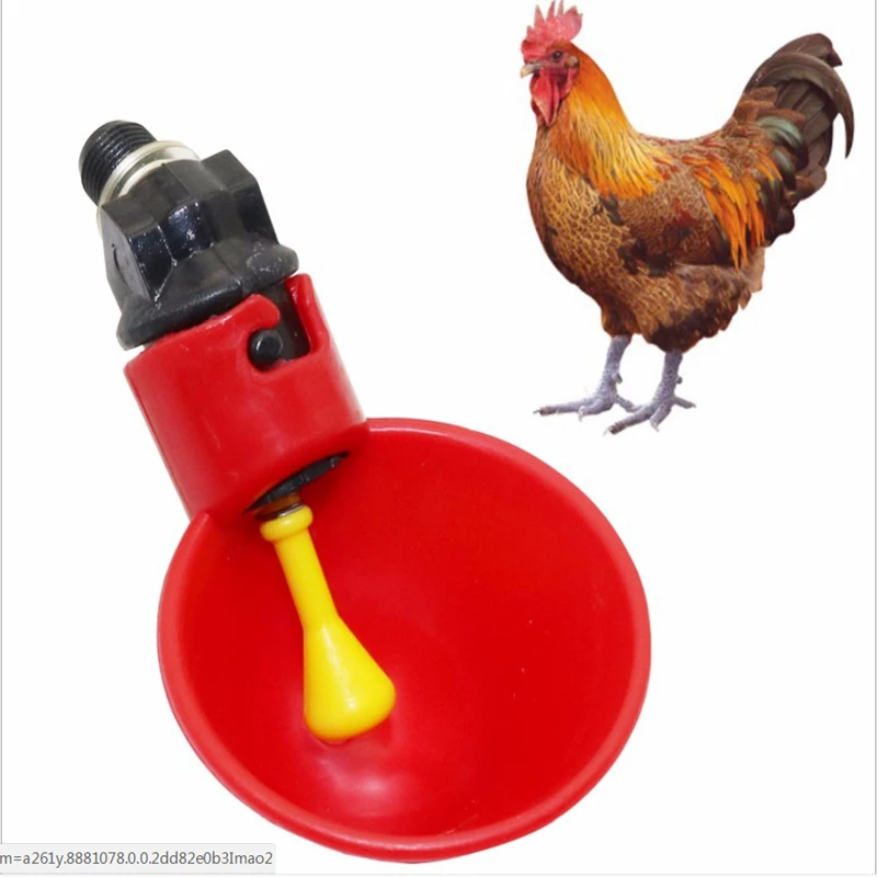 Pollame Automatico Irrigazione Bevitore Tazza Stile Galleggiante Alimentazione A Gravità Irrigatore Pulcino Pollo Anatra Quaglia Scegli Bebedero Para 