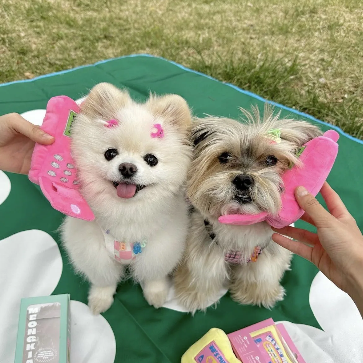Ins New Cute Cell Phone Toys Interactive Hide Food Sniff Pet Bb Barking Dog Toys Sound Peluche Puppy Cats Pet Supplies
