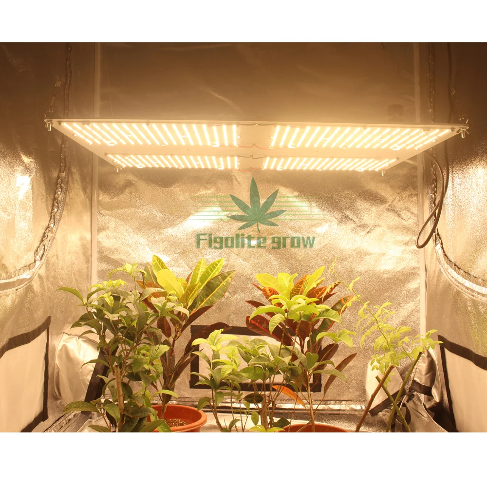 Spettro Completo Superbright Samsung Lm301H 3000K/3500K Mixcree Xpe 660Nm Uv Ir V3 Led Coltiva La Luce Quantum Bordo Di Driver Di Hlg-480H-48B