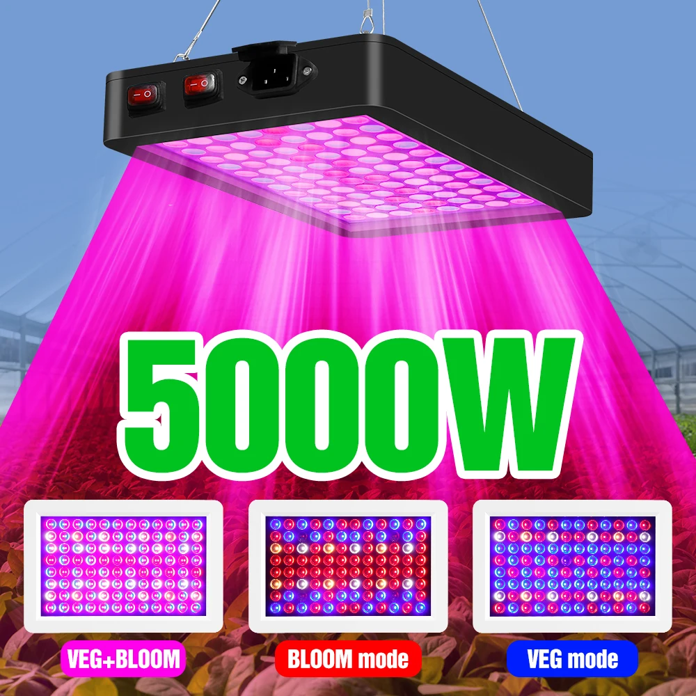 Grow Light Serra Led Grow Lamp 220V Led Grow Light Bulb Spettro Completo Phyto Grow Indoor Tent Indoor Veg Flowers 4000W 5000