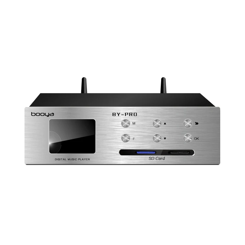 By-Pro 24/32Bit Master Hard Disk Music Lossless Player Febbre Hifi Ak4497Dac Decodifica Dsd Giradischi Digitale Bluetooth
