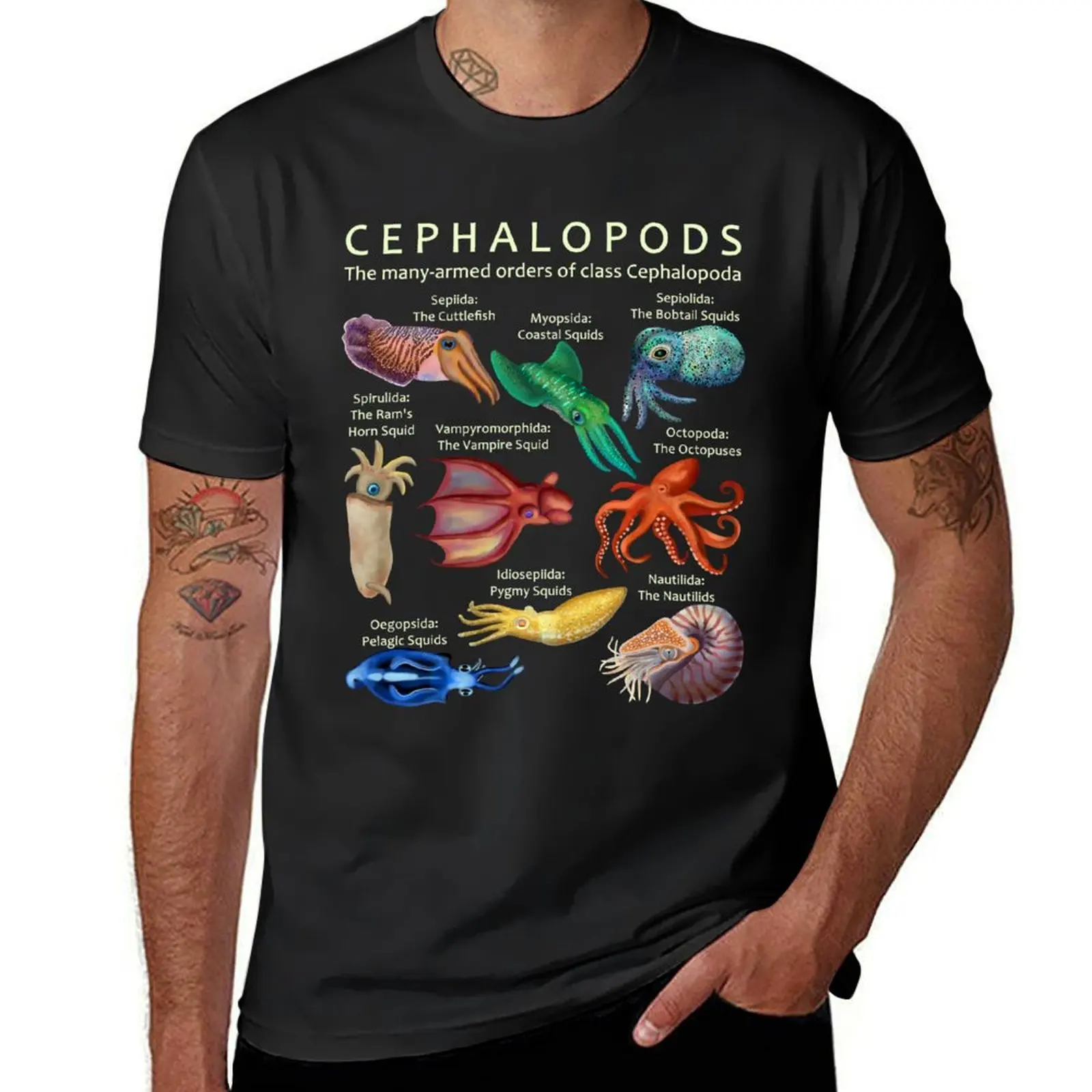 The Cephalopod: Octopus, Squid, Nautilus E Seppie T-Shirt Blanks Funnys Anime Clothes T Shirt Men