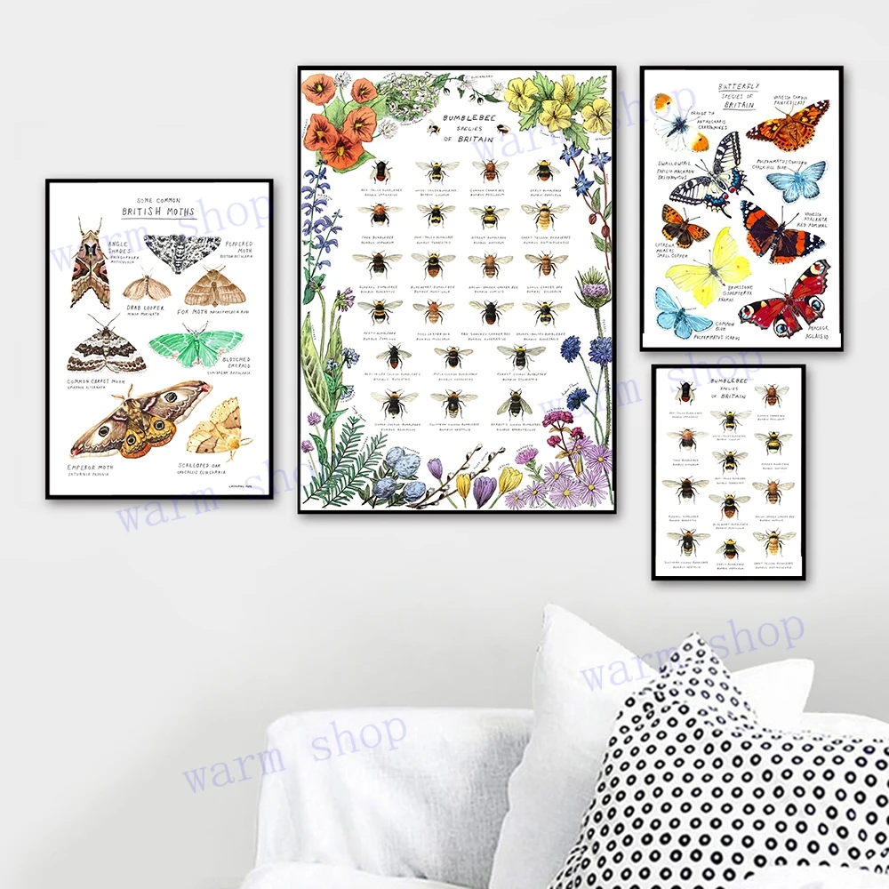 Vintage Butterfly Bumblebee Stampe Insetti Natura Bambini Poster Educativi Nursery Wall Art Pictures Canvas Painting Decor