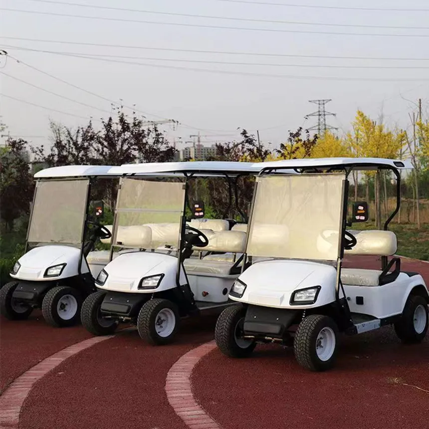 Golf Cart Logo Personalizzato Servosterzo Elettrico Street Legal 48/60/72V Litio Fuoristrada Scooter Elettrico Golf Cart Pneumatici Fuoristrada