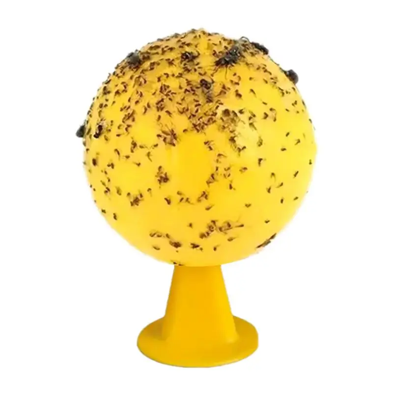 Trappole Gnat Per La Casa Palla Da Interno Catcher Appiccicoso Per Il Controllo Delle Mosche Trappole Per Mosche Di Frutta Per Trappola Per Mosche Pal
