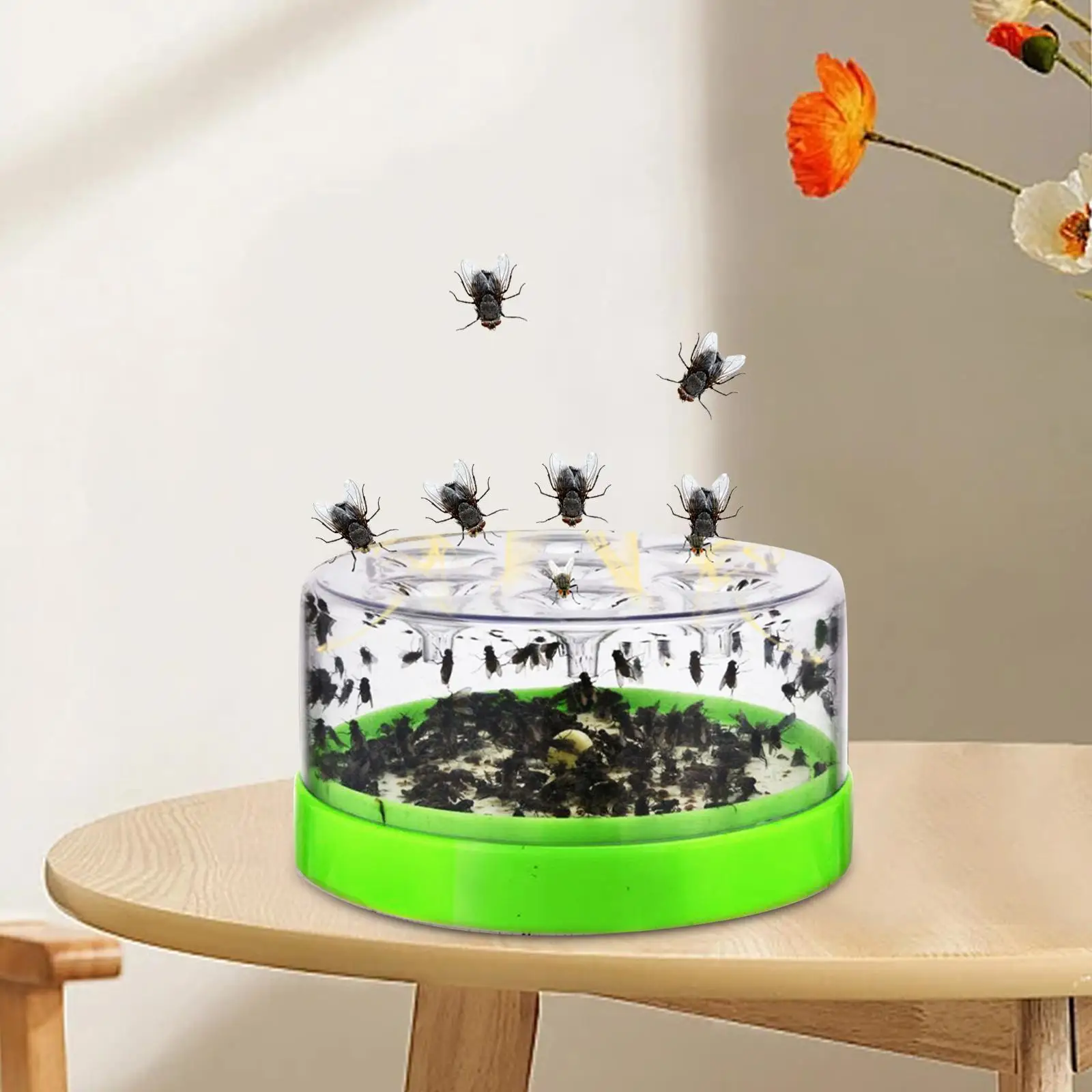 Trappole Per Mosche Professionale Multiuso Fly Catcher Fly Catcher Gabbia Per Parco Indoor Outdoor Camera Da Letto Soggiorno Hotel