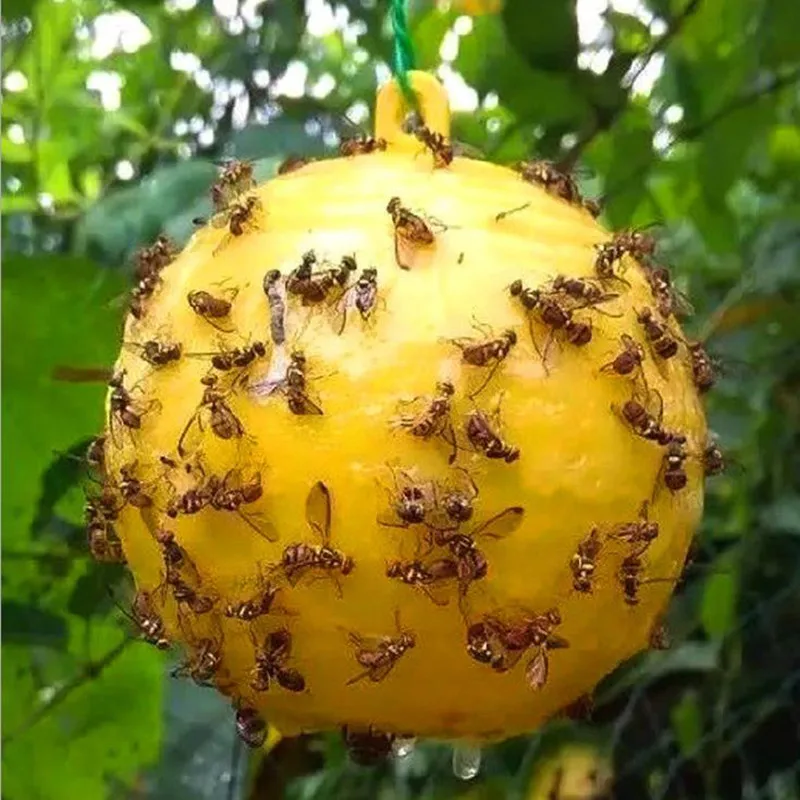F50 Ball Trap Fly Trap Fly Swatter 75Mm Large Fruit Fly Trap Riutilizzabile Hanging Fly Trap Ball Pest Repeller Killer Hanging On Tree