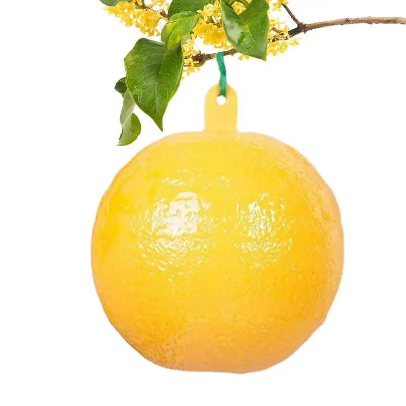 Trappole Appiccicose Per Gnat Trappola Portatile A Forma Di Frutta Con Palla Da 3.15 Pollici Efficace Cattura Di Mosche Gnat Sicuro Acchiappasogni Di 