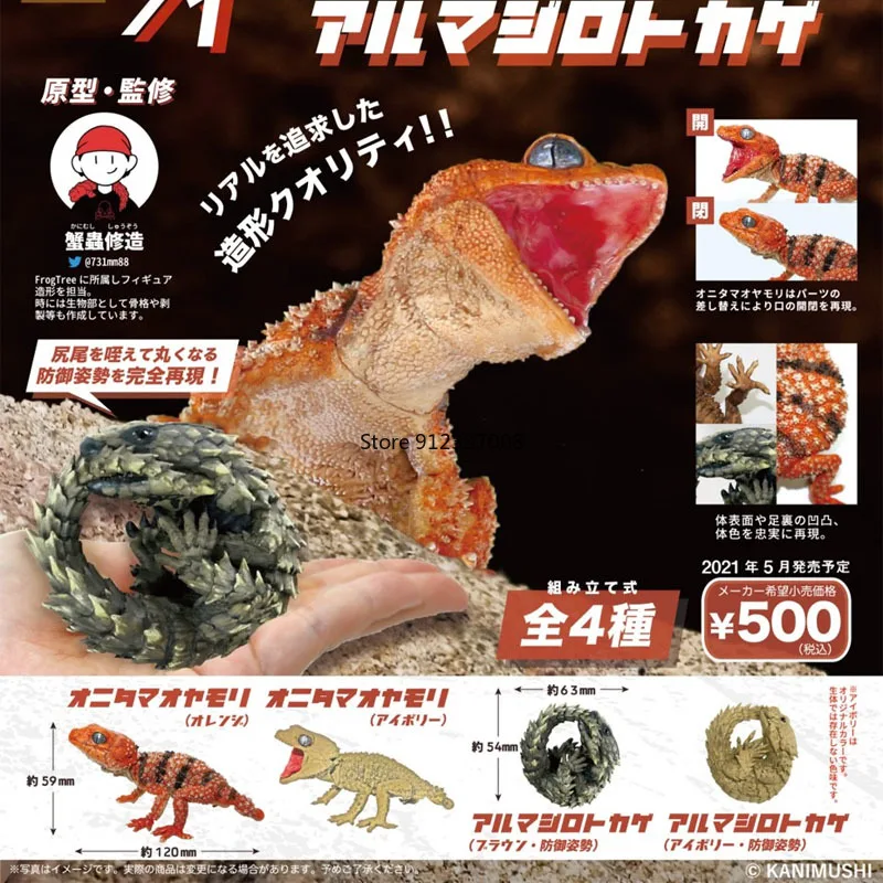 Giappone So-Ta Gashapon Cashapon Lucertola Figura Cabrite Modello Pet Rettili Palpebra Geckos Pogona Vitticeps Giocattolo Racerunner Tipico