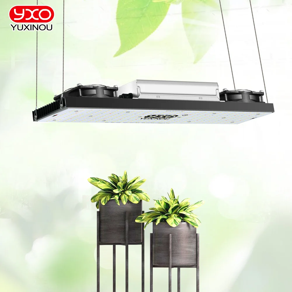 Meanwell Driver 200W Samsung Board Lm301H Full Spectrum Dimmerabile Led Grow Lights/Lampade Per Veg And Bloom Crescita Idroponica Delle Piante