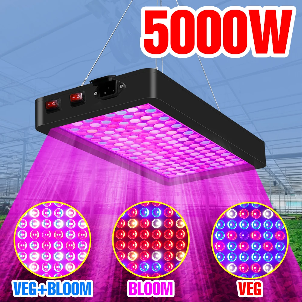 5000W Grow Light Led Full Spectrum Plant Light Led Quantum Board Flowers Seeds Phyto Lamp Indoor Hydroponics Growing Tent