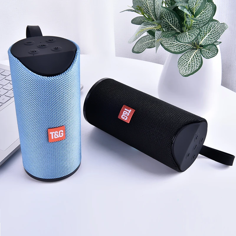 Tg113 Altoparlante Portatile Bluetooth Radio Fm Cassa Di Risonanza Boombox Mini Subwoofer Tv Senza Fili Di Tf Aux Usb Altoparlanti Per Computa