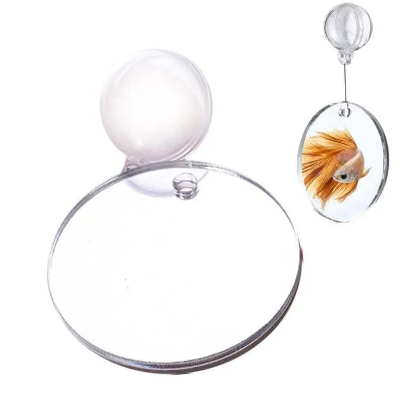 Betta Fish Mirror Round Funny Fishbowl Mirror Aquarium Theme Ornaments For Fish Tank. Acquari Da Soggiorno Per L'Home Office