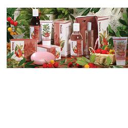 L&#39;Amande Sambuco & Corbezzolo Eau De Parfum 50 Ml