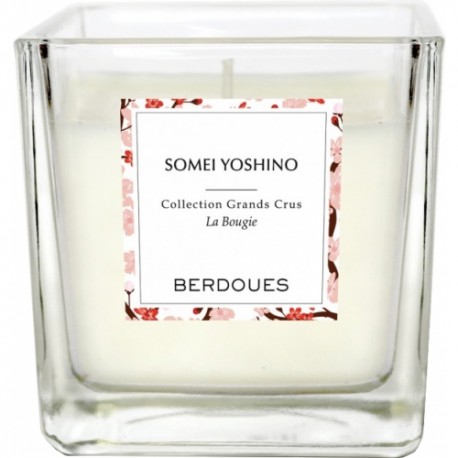 Berdoues Somei Yoshino Candela Profumata