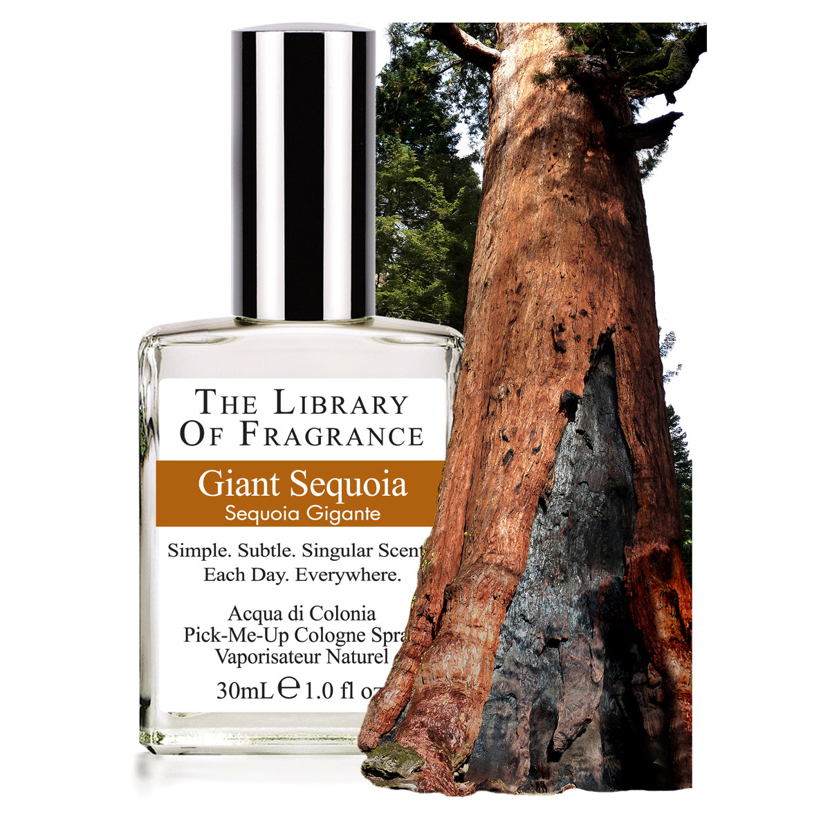 The Library Of Fragrance Giant Sequoia Fragrance 30Ml