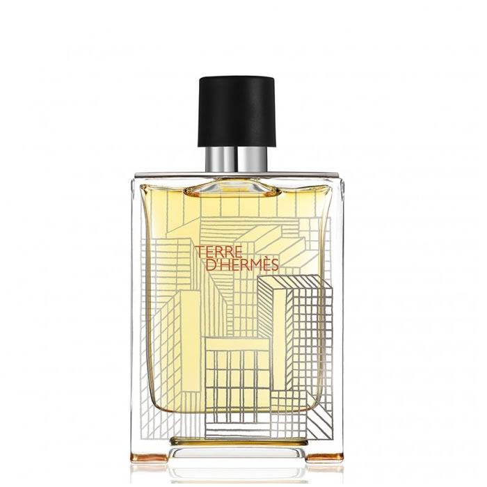 Hermes Terre Edt 100 Vapo