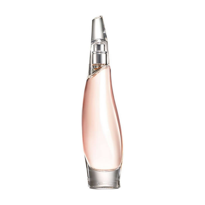 Donna Karan Liquid Cashmere Eau De Parfum Spray 100Ml