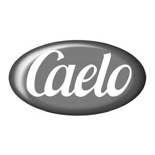Caelo Tetraciclina Hcl Materia Prima 100G