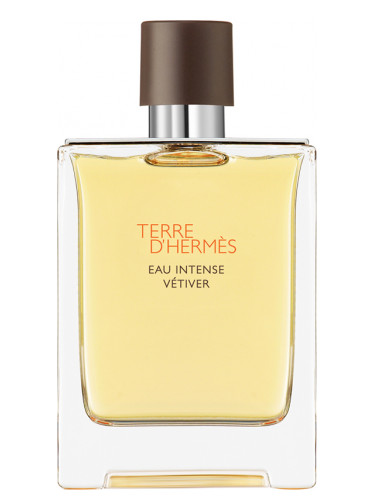 Terre D&#39;Hermes Eau Intense Vetiver Hermes 100Ml