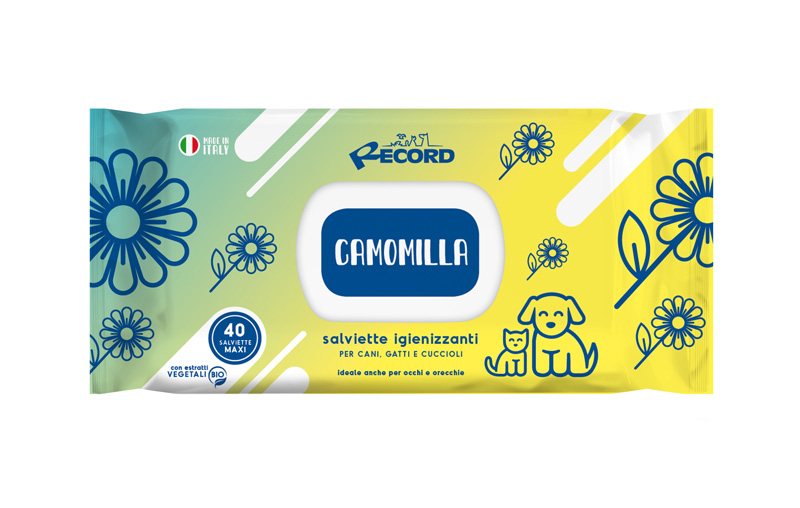 Record 40 Salviette Igienizzanti Maxi Ca