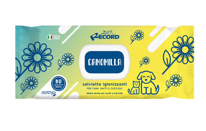 Record 80 Salviette Igienizzanti Maxi Ca