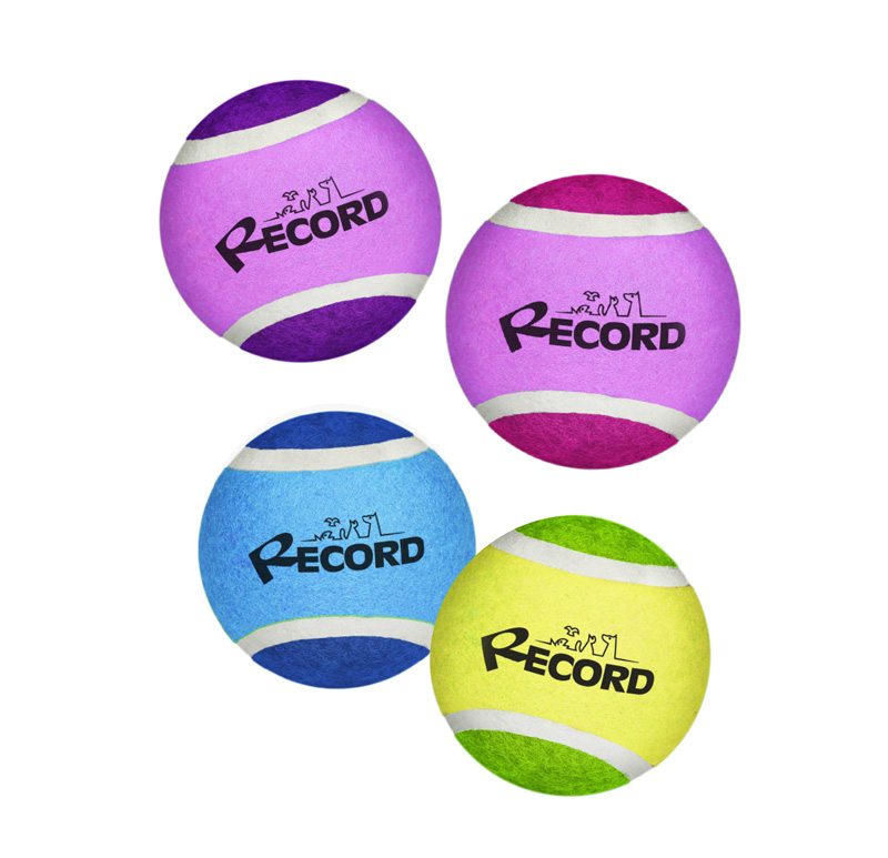 Record Tennis Fun 4 Palle Da Tennis Viol