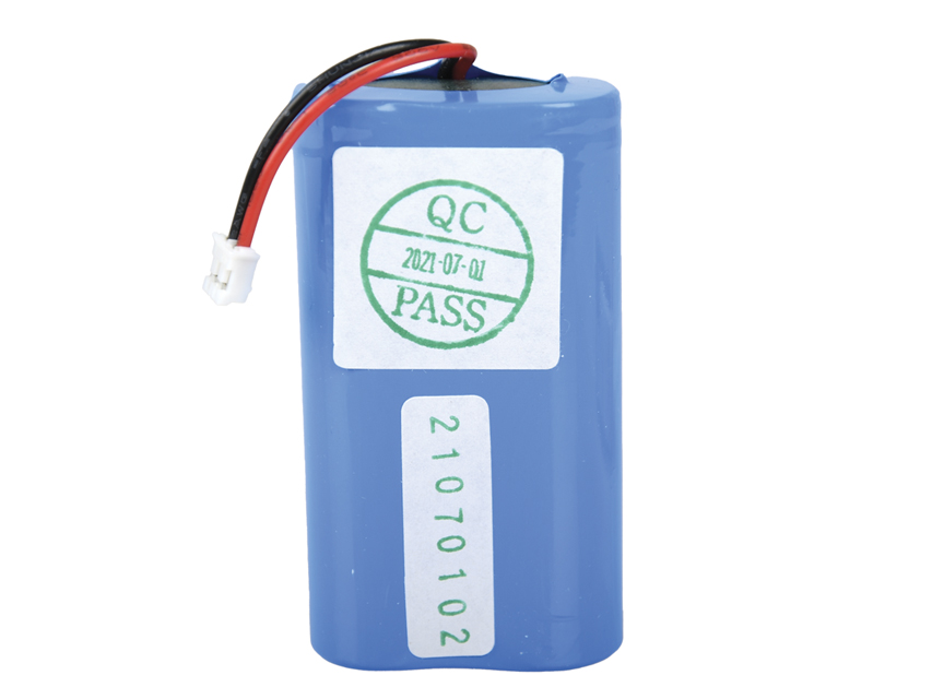 P3 Batteria Ricarliion Pc300