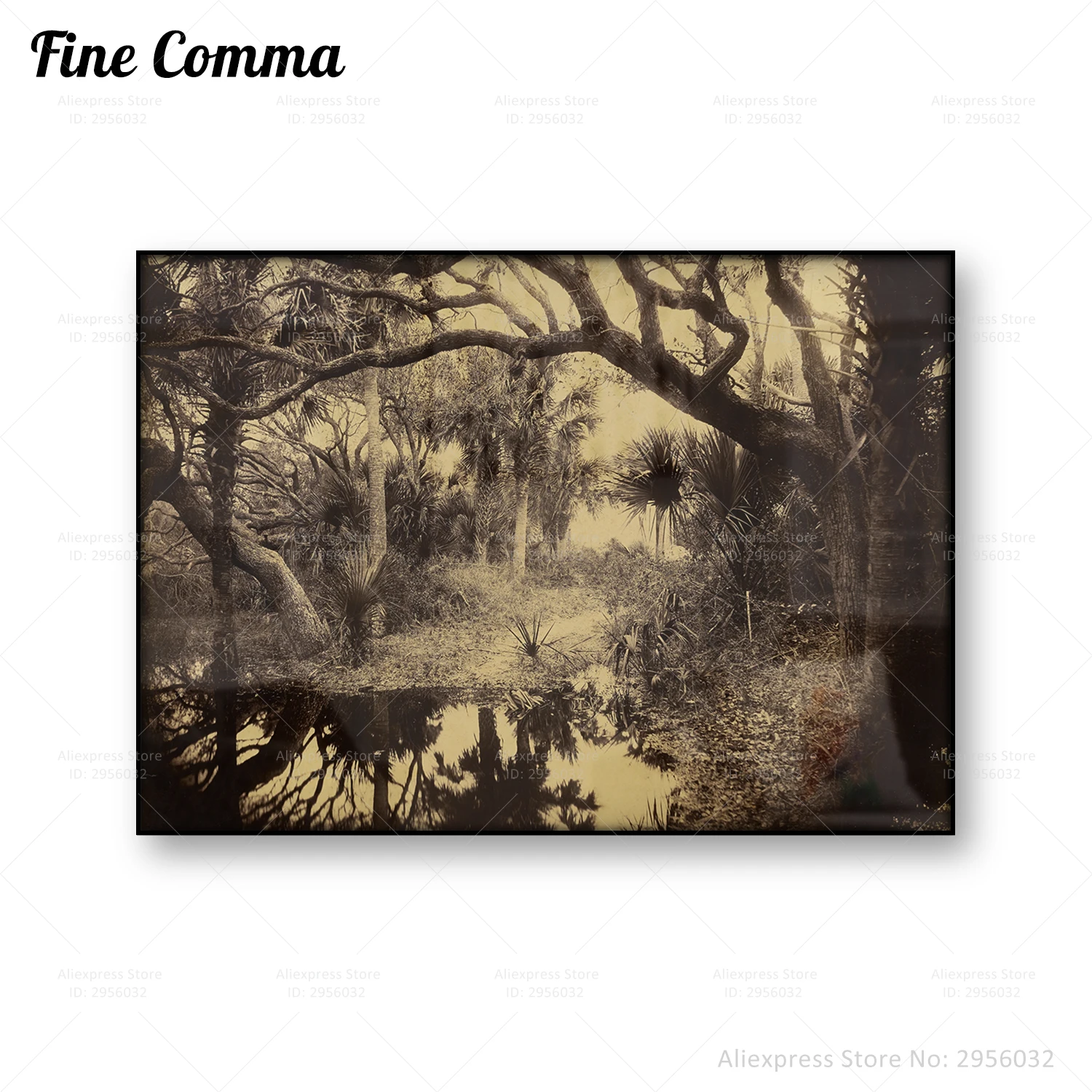 Live Querce E Palmetto Everglades Florida Paesaggio Poster Vintage George Barker Vecchia Foto Stampa Su Tela Wall Art Home Decor Regalo