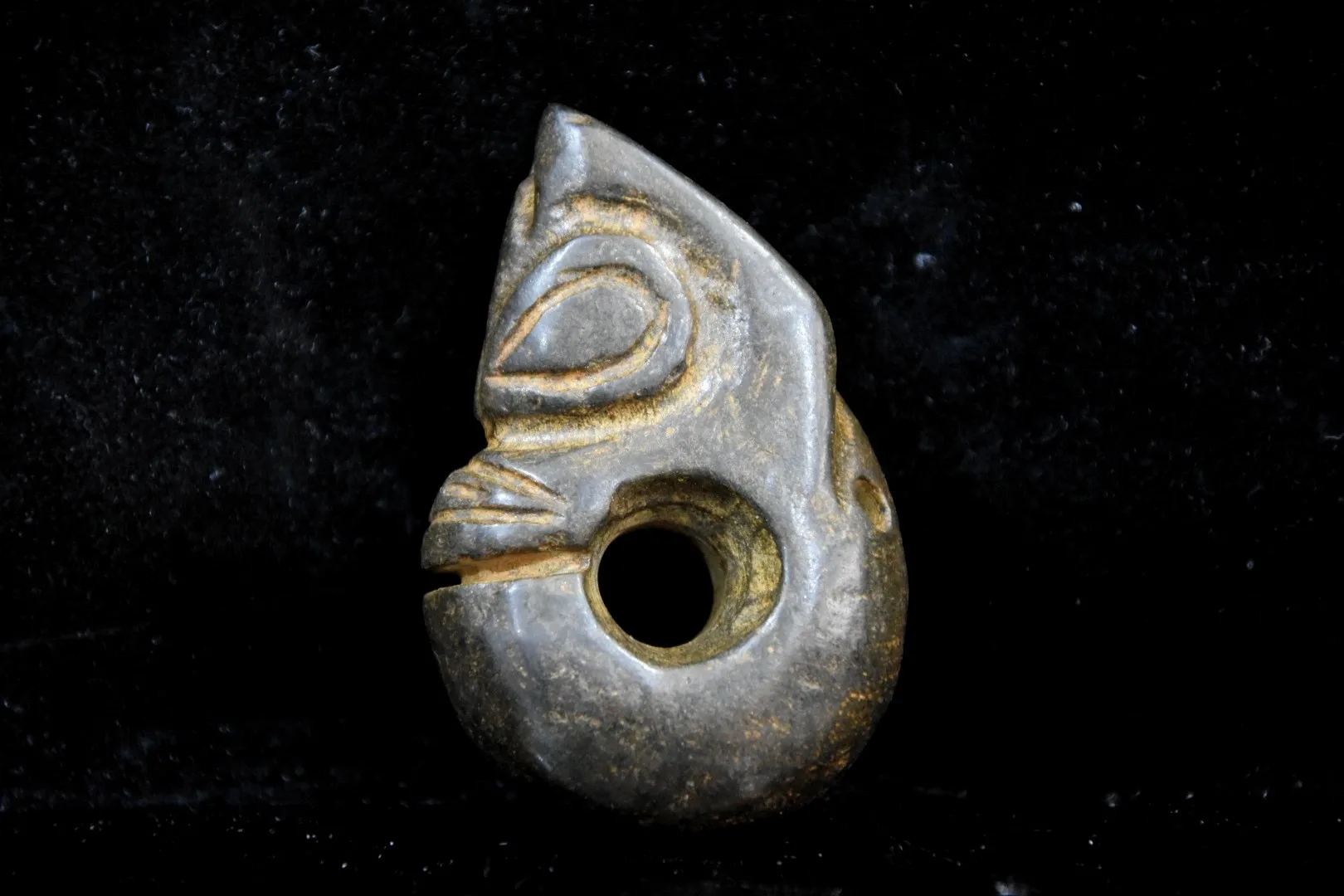 Cina Hongshan Culture Black Iron Meteorite Sculpture Luckyy Jade Pig Dragon 'Statue Artigianato Decorazione Della Casa