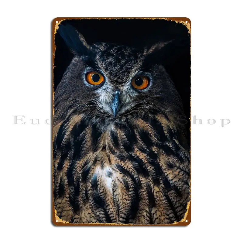 Eagle Owl Metal Sign Cinema Arrugginito Home Printing Cinema Tin Sign Poster