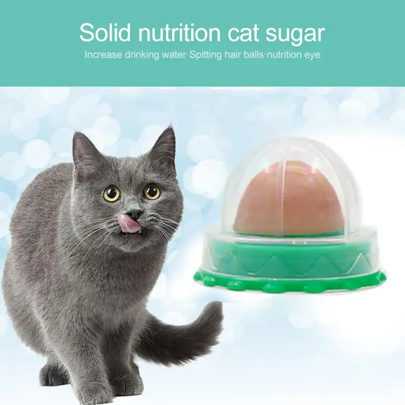 Nutrition Cat Catnip Ball Dust Cover Round Safe Catnip Snack Lick Candy Budino Alla Vitamina Catnip Lollipop Per Cat Kitten Ragdoll