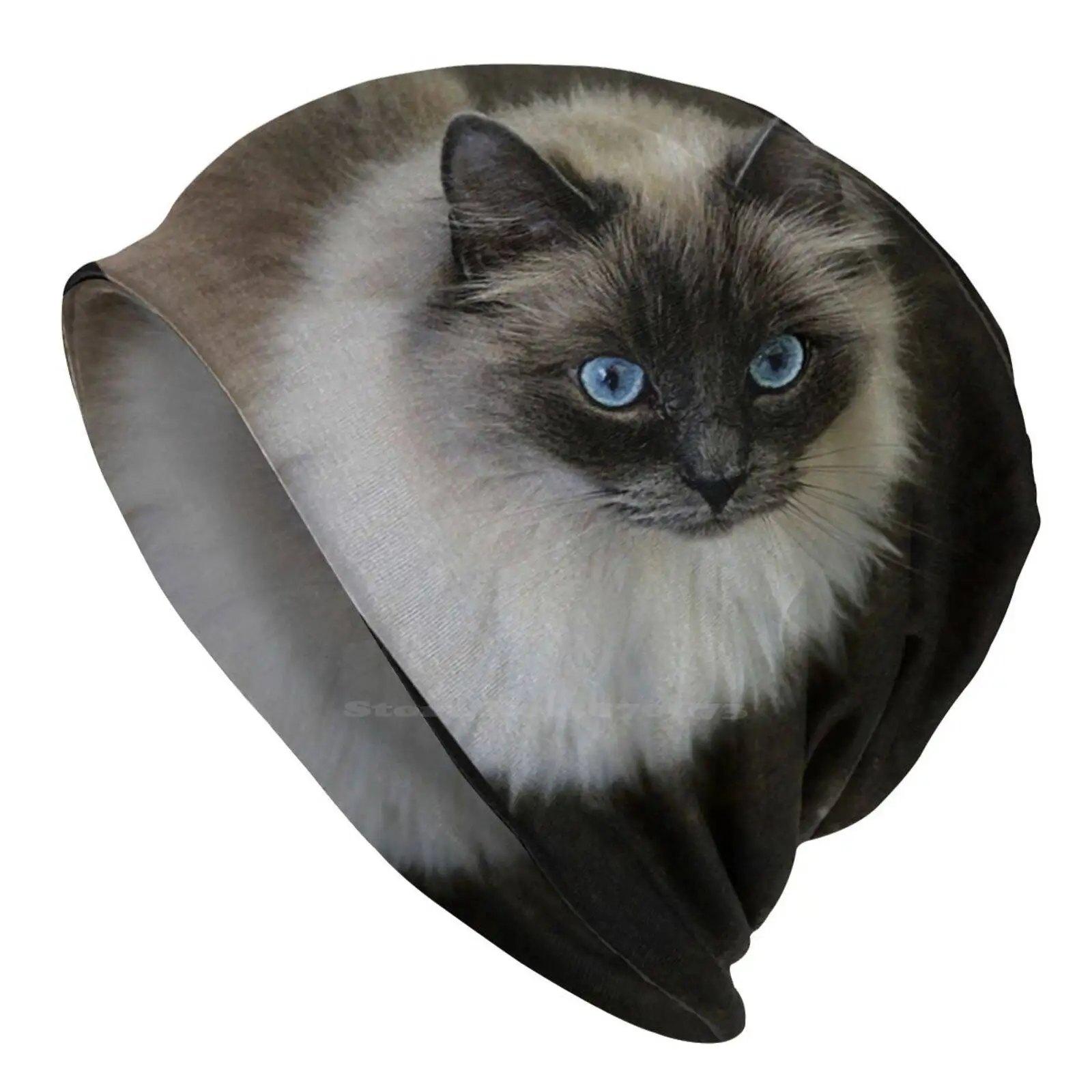 'Lady Cappello Lavorato A Maglia Warm Beanie Outdoor Caps Lou Cats Ragdoll Animali Domestici Ladymoose