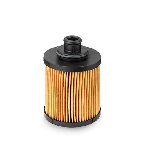 Ufi Filters, Filtro Olio 25.031.00, Filtro Olio Per Ricambio, Adatto A Auto, Applicabile Su Diversi Modelli Alfa Romeo, Fiat, Ford, Lancia, Opel, Suba