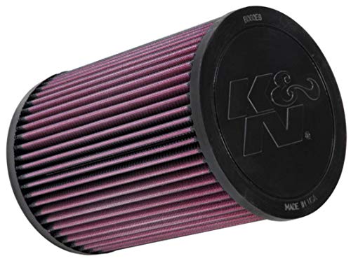 K&N E-2986 Filtri Aria Sostitutivi Auto, Lavabile E Riutilizzabile
