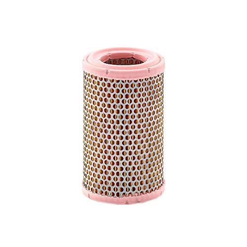 Mann-Filter C 1150 Filtro Aria – Per Auto