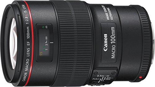 Canon Obiettivo Ef 100Mm F/2.8 L Macro Is Usm