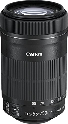 Canon Obiettivo Ef-S 55-250 Mm F/4-5.6 Is Stm