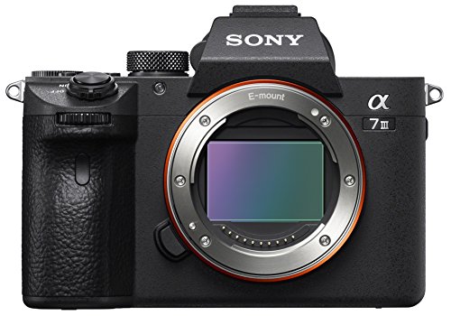 Sony Ilce7M3Gbdi.Eu Non Classificato