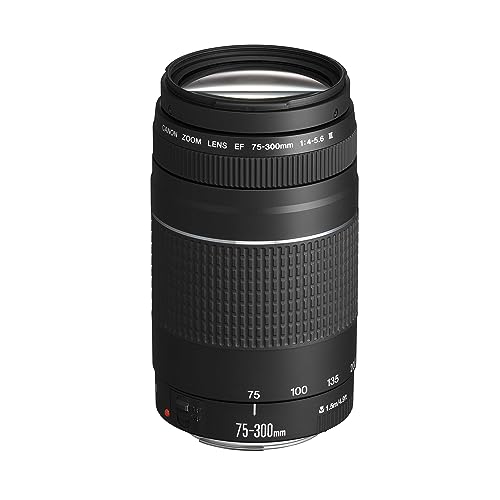 Canon Teleobiettivo Zoom, Ef 75-300 Mm F/4-5.6 Iii [Versione Eu]