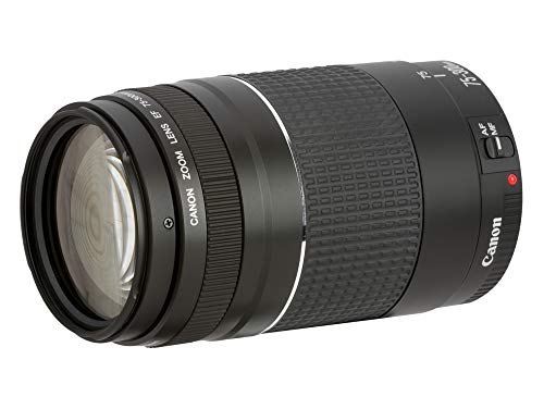 Canon Teleobiettivo Zoom Ef – 75 Mm – 300 Mm