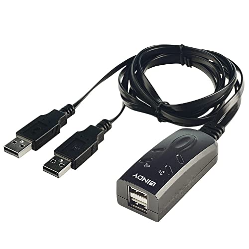 Net Switch Kvm Usb 2Port/32165 Lindy
