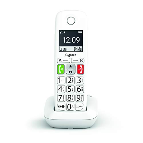 Gigaset E290 - Dect/Analógico Blanco Identificador De Llamadas [Versione Spagnola]