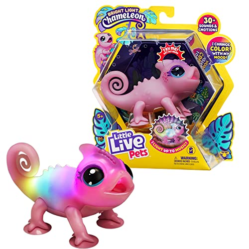Moose Little Live Pets - Calm A Chameloen - Nova (26365)
